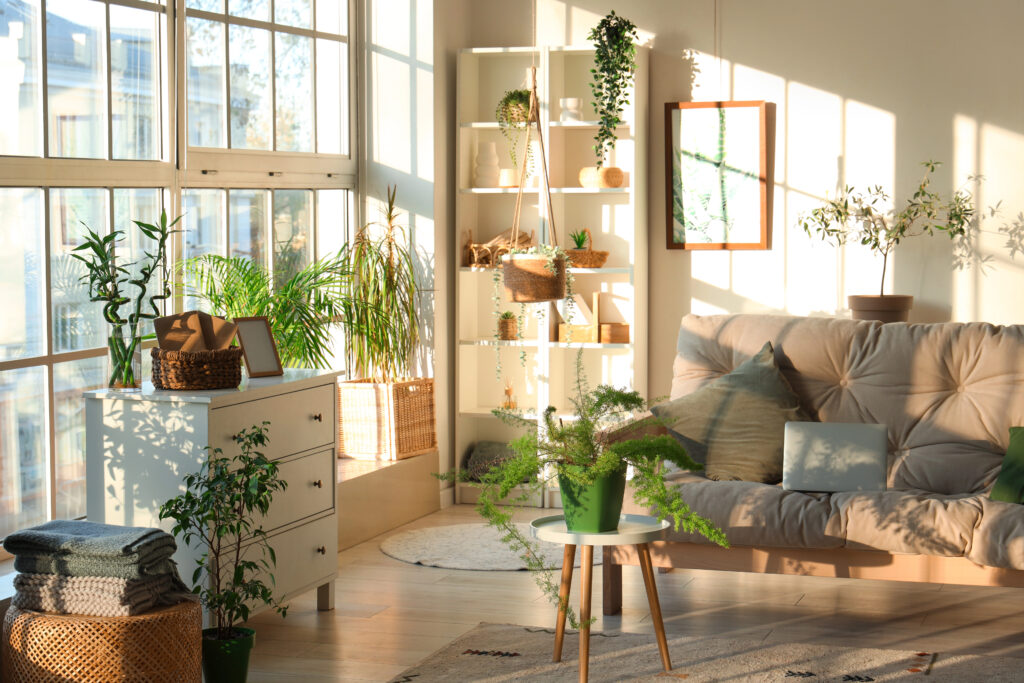 DBT Therapy Program Billerica MA