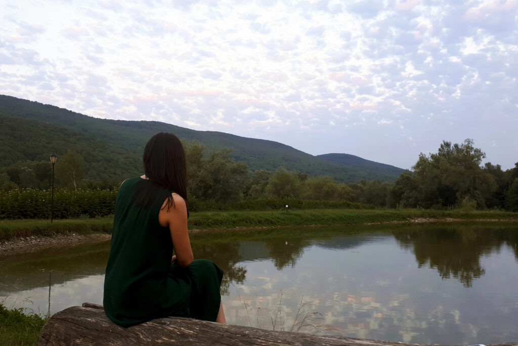 Suicidal Ideation & Crisis Support Bridge: Finding Your Way Back in Massachusetts