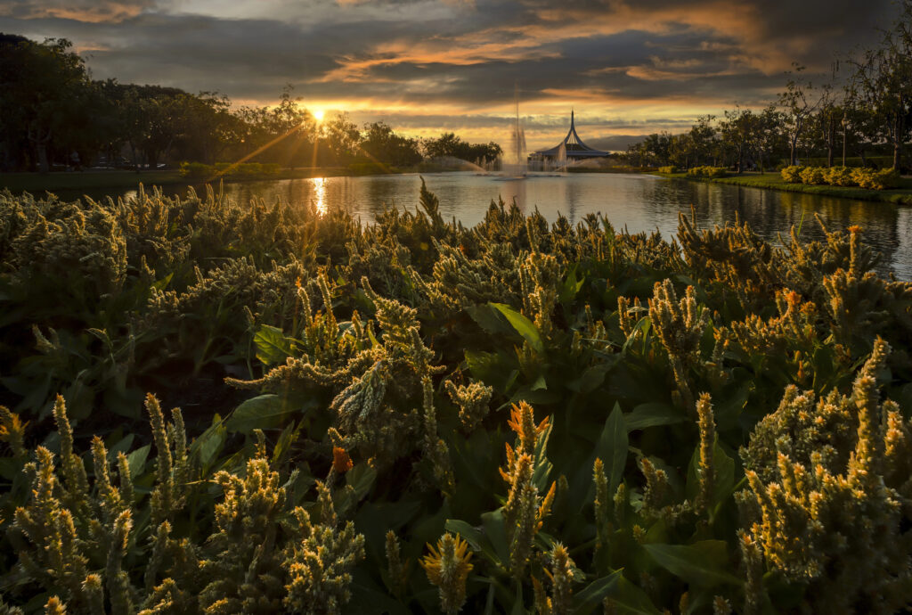 Top-Rated Mental Health IOP in New Salem, NH