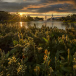 Top-Rated Mental Health IOP in New Salem, NH