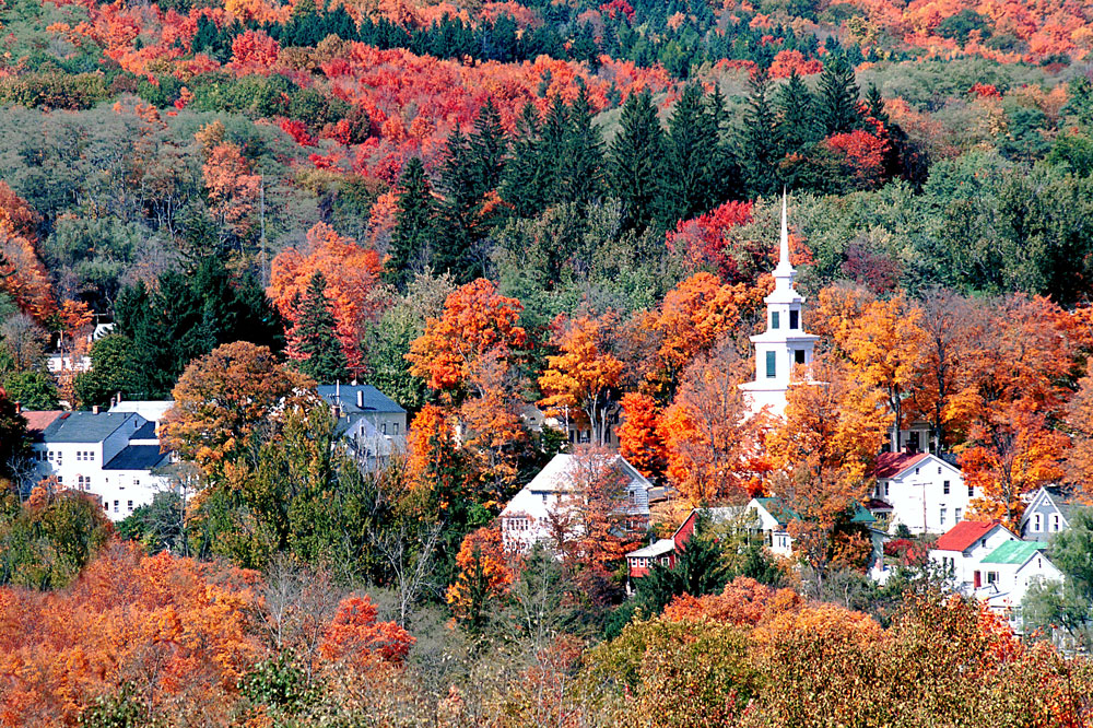 Clover Behavioral Health – Stiles Road Office